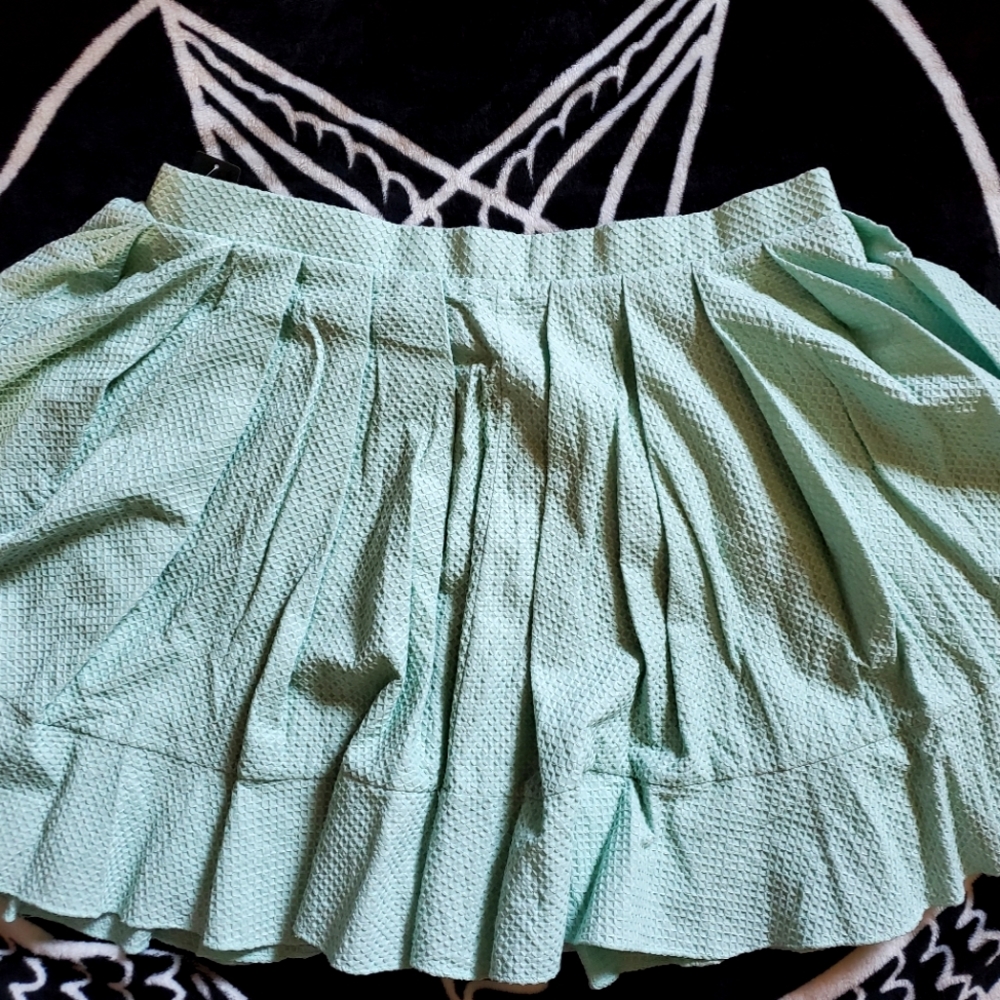 Mint textured pleated skirt size 24 never worn